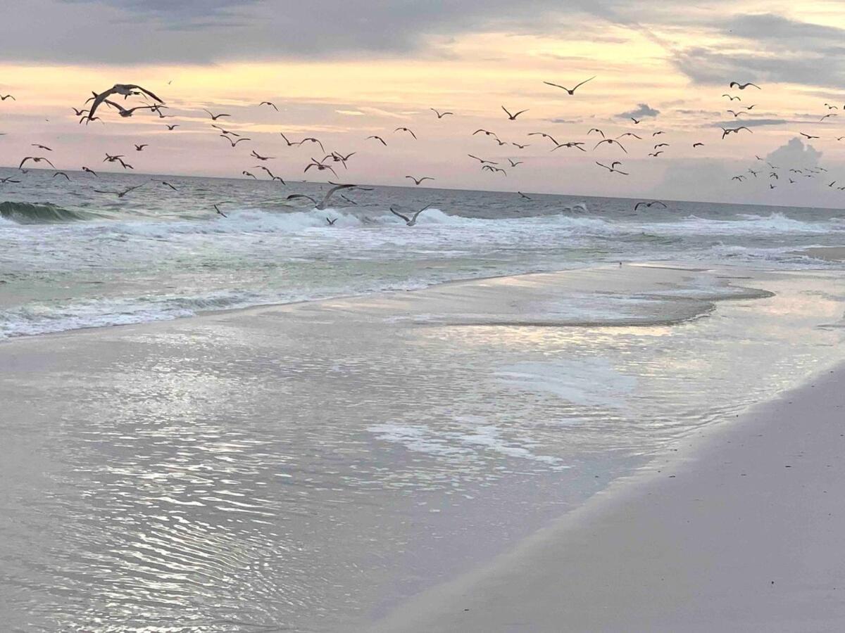 Private Beach, Heated Pool, Gulf Front Holiday home Panama City Beach